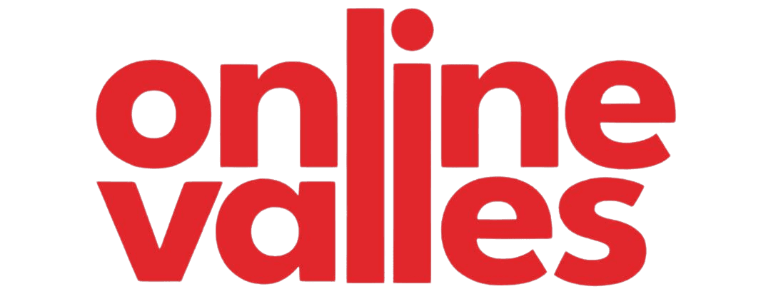 Online Vallès